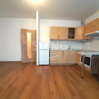 Pronájem bytu 1+kk a garsoniéry 31 m² Jihlava