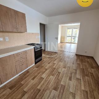 Pronájem bytu 2+1 60 m² Ostrava, Dvouletky