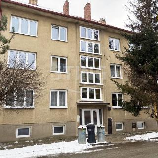 Prodej bytu 3+1 61 m² Velké Meziříčí, Na Výsluní