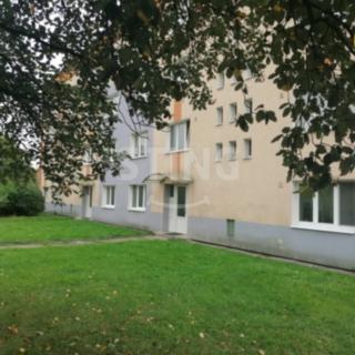 Pronájem bytu 2+1 55 m² Mělník, Sídl. Střed