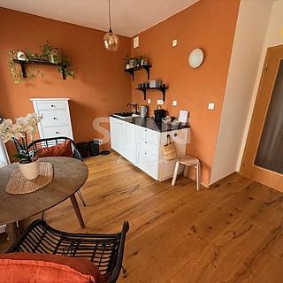 Pronájem bytu 1+kk, garsoniery 25 m&sup2; Čeladná