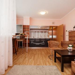 Pronájem bytu 1+kk a garsoniéry 32 m² Ostrava, Michálkovická