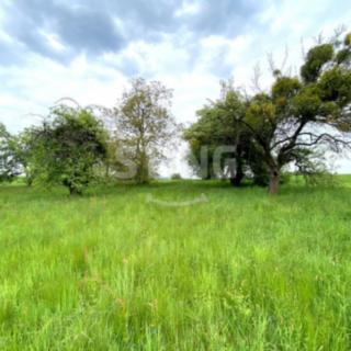 Prodej stavební parcely 3 551 m² Kyjovice