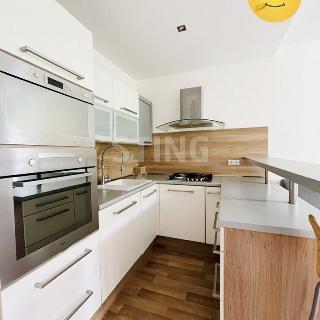 Pronájem bytu 2+kk 45 m² Ostrava, U Parku