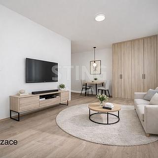 Prodej bytu 1+kk, garsoniery 33 m&sup2; Ostrava