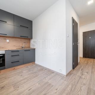 Prodej bytu 1+1 34 m² Ostrava, Přemyslovců