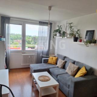 Pronájem bytu 3+kk 46 m² Mělník, Slovany