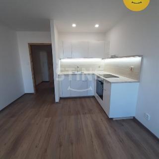 Prodej bytu 1+kk a garsoniéry 30 m² Frýdek-Místek, Československé armády