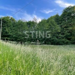 Prodej louky 7 467 m² Třinec