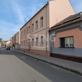 Pronájem bytu 2+1 69 m² Opava, Kylešovská