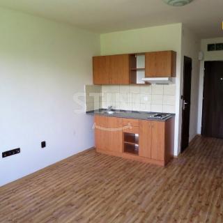 Pronájem bytu 1+kk a garsoniéry 22 m² Ostrava, Plzeňská