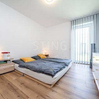 Pronájem rodinného domu 103 m² Hněvošice, Jižní