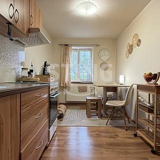 Pronájem bytu 1+1 30 m&sup2; Rýmařov