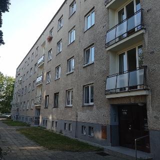 Prodej bytu 2+1 55 m² Hradec Králové, Písečná