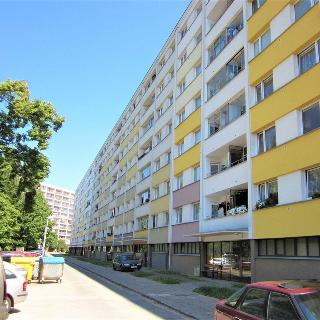 Prodej bytu 2+1 56 m² Hradec Králové, Polní