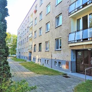 Prodej bytu 2+1 56 m² Hradec Králové, Písečná