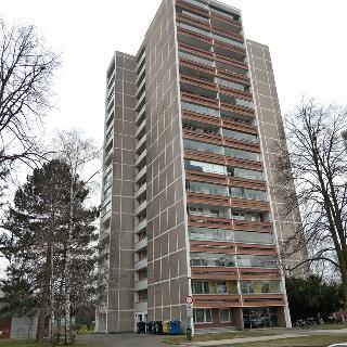 Pronájem bytu 2+kk 48 m² Hradec Králové, Jungmannova