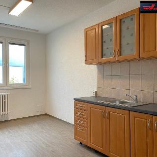 Pronájem bytu 3+1 75 m² Česká Lípa, 