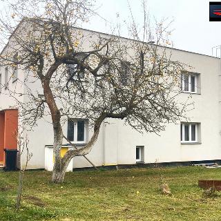 Prodej rodinného domu 160 m² Nový Bor, Tylova