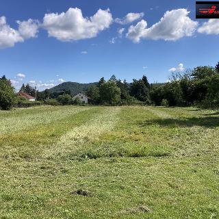 Prodej stavební parcely 3 500 m² Žandov, 