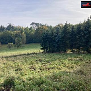 Prodej stavební parcely 1 390 m² Děčín, 