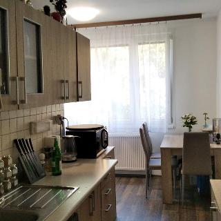 Pronájem bytu 2+kk 45 m² Žandov, Osvobození