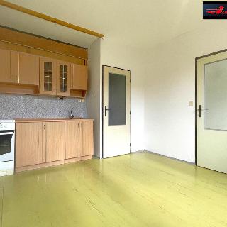 Pronájem bytu 1+1 35 m² Děčín, 