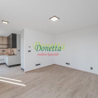 Pronájem bytu 1+kk a garsoniéry 30 m² Hradec Králové, Pavla Hanuše