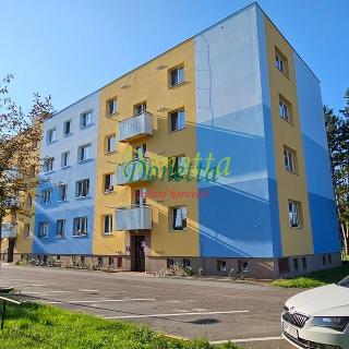 Prodej bytu 2+1 58 m² Hradec Králové, Medkova