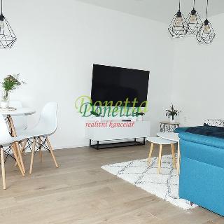 Pronájem bytu 2+1 56 m² Smiřice, Gen. Govorova