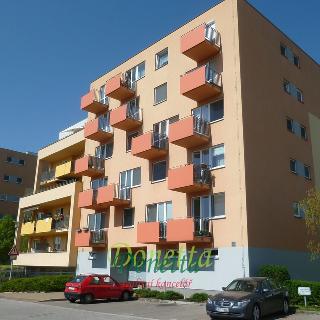 Pronájem bytu 1+kk a garsoniéry 45 m² Hradec Králové, Ve Stromovce