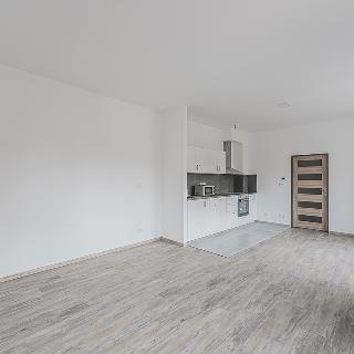 Pronájem bytu 1+kk a garsoniéry 41 m² Nový Bydžov, Dukelská třída