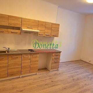 Pronájem bytu 1+kk a garsoniéry 32 m² Praha, Parléřova