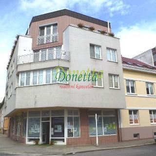 Pronájem bytu 1+kk a garsoniéry 40 m² Hradec Králové, Horova