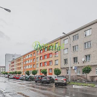 Prodej bytu 1+1 62 m² Hradec Králové, Haškova