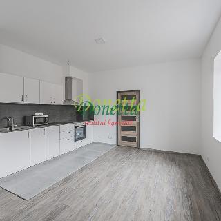 Pronájem bytu 1+kk a garsoniéry 41 m² Nový Bydžov, Dukelská třída