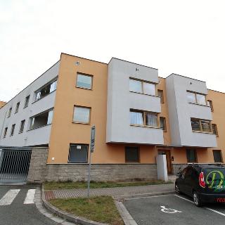 Pronájem bytu 2+kk 65 m² Hradec Králové, Na Střezině