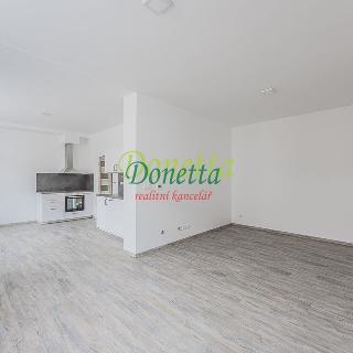 Pronájem bytu 1+kk, garsoniery 48 m² Nový Bydžov