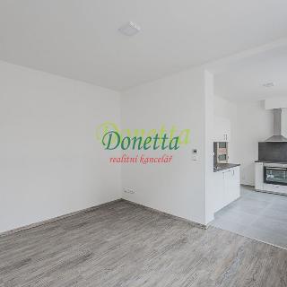 Pronájem bytu 1+kk a garsoniéry 31 m² Nový Bydžov, Dukelská třída