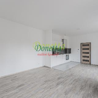 Pronájem bytu 1+kk a garsoniéry 41 m² Nový Bydžov, Dukelská třída