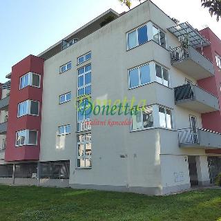 Pronájem bytu 2+kk 66 m² Hradec Králové