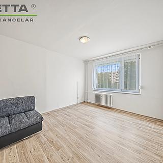 Prodej bytu 1+1 35 m&sup2; Hradec Králové