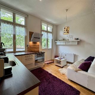 Prodej bytu 2+kk 55 m² Mariánské Lázně, Anglická