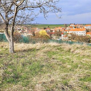 Prodej stavební parcely 2316 m² Tvořihráz