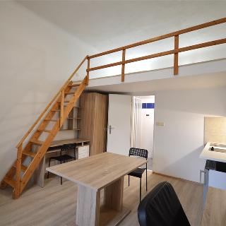 Pronájem bytu 1+kk a garsoniéry 20 m² Brno, Václavská