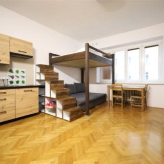 Pronájem bytu 1+kk, garsoniery 30 m² Brno