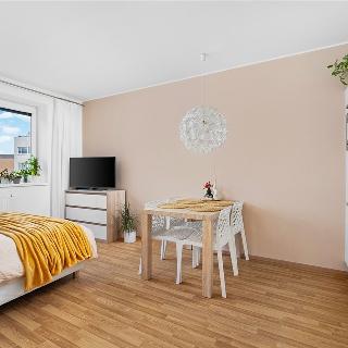 Prodej bytu 1+kk a garsoniéry 30 m² Brno, Žabí