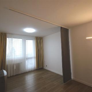 Pronájem bytu 1+1 38 m² Brno, Haškova