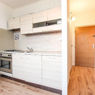 Pronájem bytu 1+1 39 m² Šlapanice, Švehlova