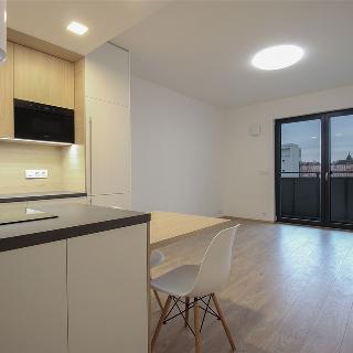 Pronájem bytu 1+kk a garsoniéry 31 m² Brno, Bratislavská